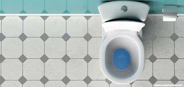 Limpar vaso sanitário de forma rápida e prática