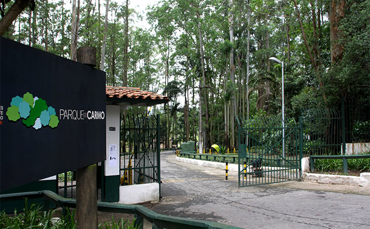 Empresa Desentupidora no Parque do Carmo