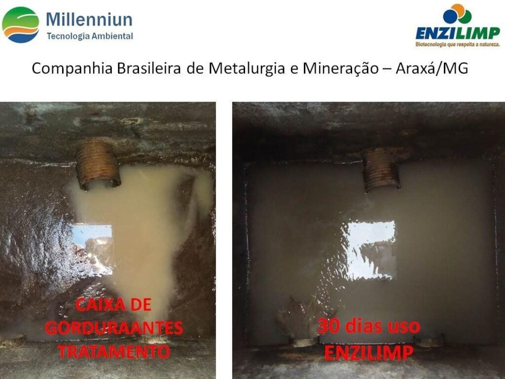 biodegradador caixa de gordura
